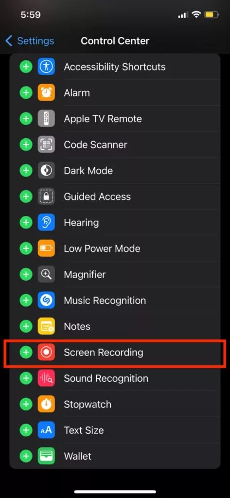 فعال کردن تیک سبز کنار Screen Recording 