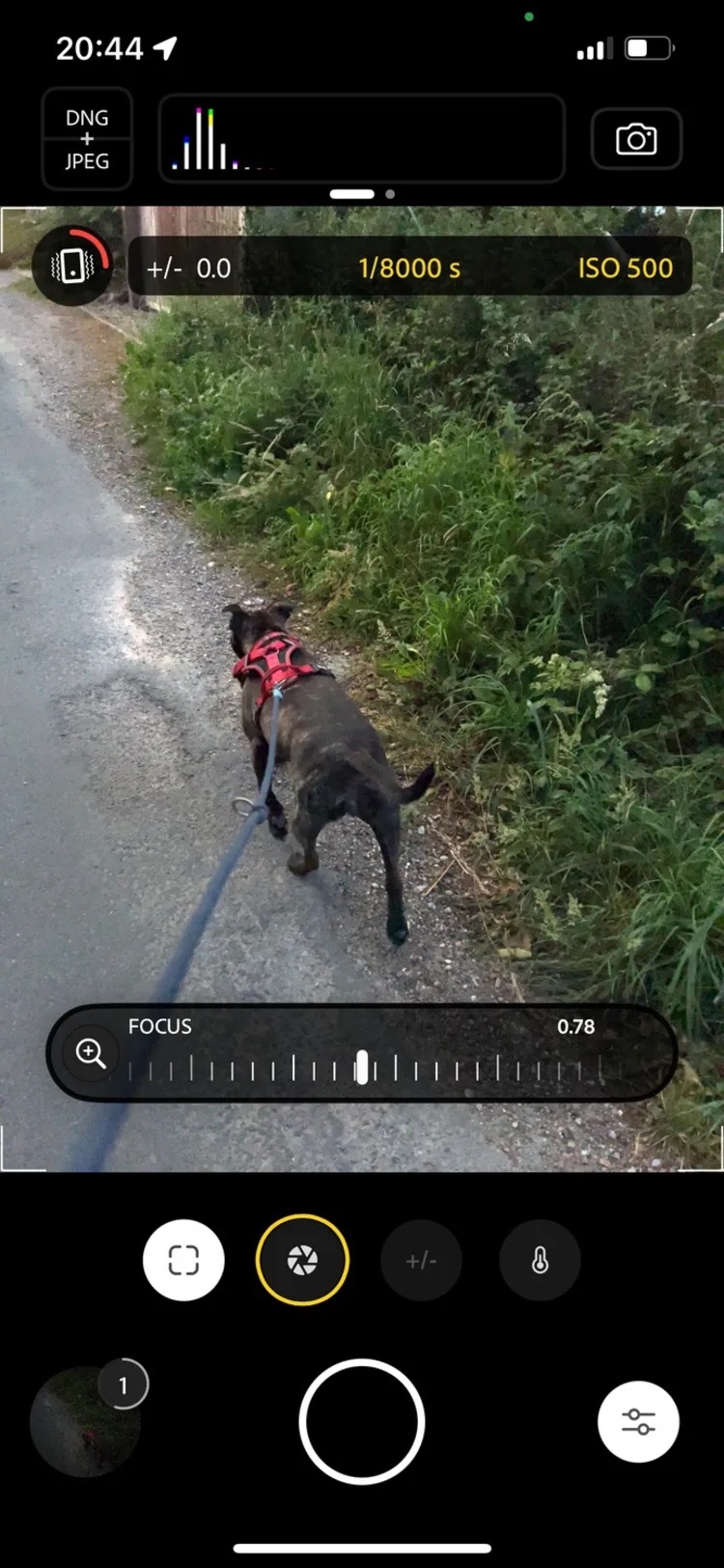 Adobe Project Indigo : برنامه عکاسی با گوشی Adobe Project Indigo : برنامه عکاسی با گوشی