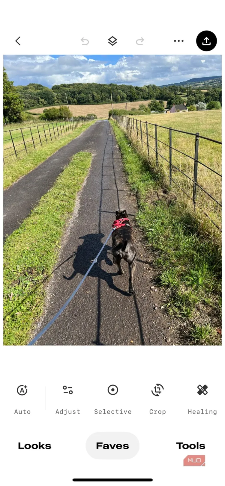 Snapseed : برنامه عکاسی با گوشی Snapseed : برنامه عکاسی با گوشی