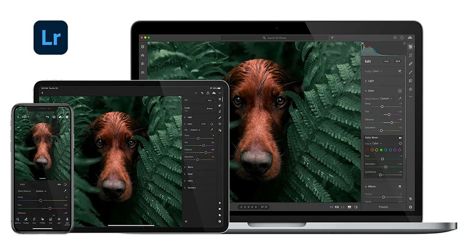 ۱. Adobe Lightroom – ادوبی لایت‌ روم