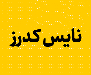 طراحی سایت نایس کدرز